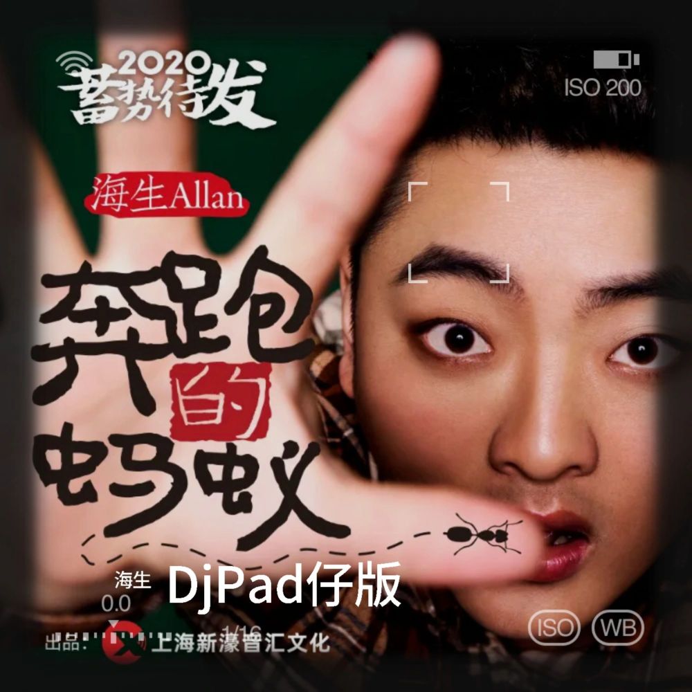 奔跑的蚂蚁（DjPad仔版） (伴奏)