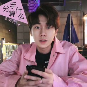 Listen to 分手算什么 (伴奏) song with lyrics from 卓美男
