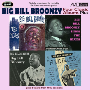 收聽Big Bill Broonzy的Folk Blues: Blue Tail Fly歌詞歌曲