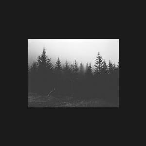 收聽群星的Noir歌詞歌曲