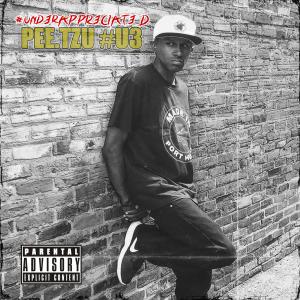 ดาวน์โหลดและฟังเพลง Fake Handshakes (feat. JMoBrace) (Explicit) พร้อมเนื้อเพลงจาก Pee.Tzu