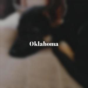 Listen to Oklahoma song with lyrics from Siley Saroz