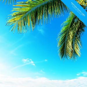 Listen to A Warm Summer Night Dream song with lyrics from Daily Piano
