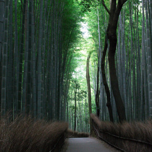 ดาวน์โหลดและฟังเพลง Song From Secret Garden พร้อมเนื้อเพลงจาก Spa Music Relaxation