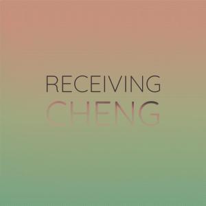 Various Artists的專輯Receiving Cheng