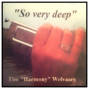 收聽Tim "Harmony" Welvaars的The Perfect Time歌詞歌曲