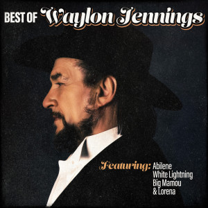 ดาวน์โหลดและฟังเพลง Burning Memories พร้อมเนื้อเพลงจาก Waylon Jennings