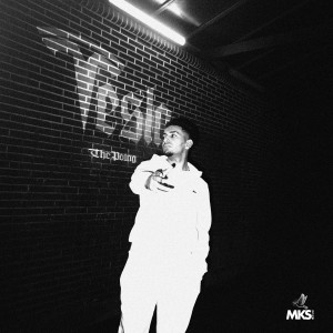 收聽ThePoing的TESLA (Explicit)歌詞歌曲