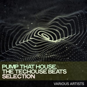 Various的专辑Pump That House, the Techouse Beats Selection