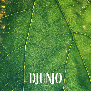 Album Loud Forest oleh Djunjo