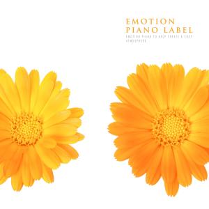 Listen to The Place Where Love Passes song with lyrics from 장예진
