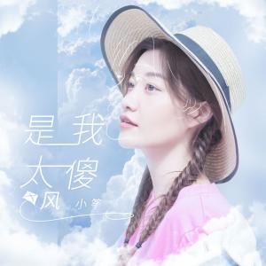 Dengarkan 是我太傻 (DJ名龙版) lagu dari 风小筝 dengan lirik