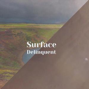 Various的专辑Surface Delinquent