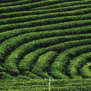 Dengarkan lagu Clear Bad Energy nyanyian Study Music Library dengan lirik