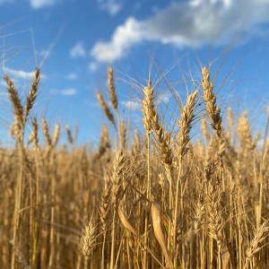 收聽BLKV的You and I歌詞歌曲