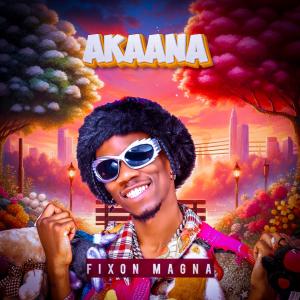 Album Akaana from Fixon Magna