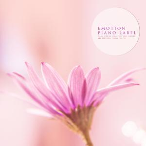 Listen to Sky Petals song with lyrics from Rain Boots