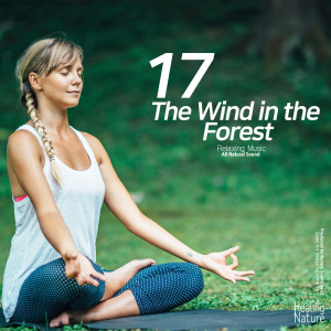 Listen to Wind and Water sound at Valley song with lyrics from 힐링 네이쳐 Nature Sound Band