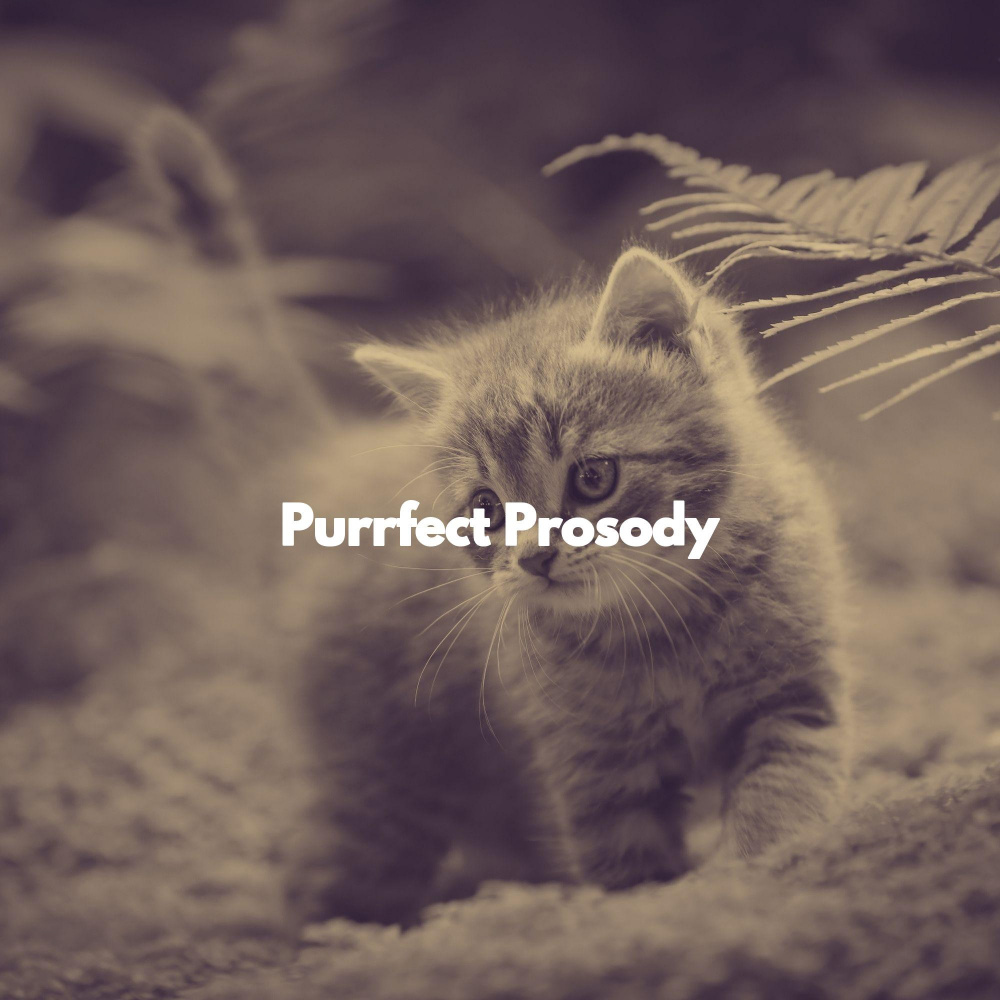 Thrilling Music for Moody Kittens