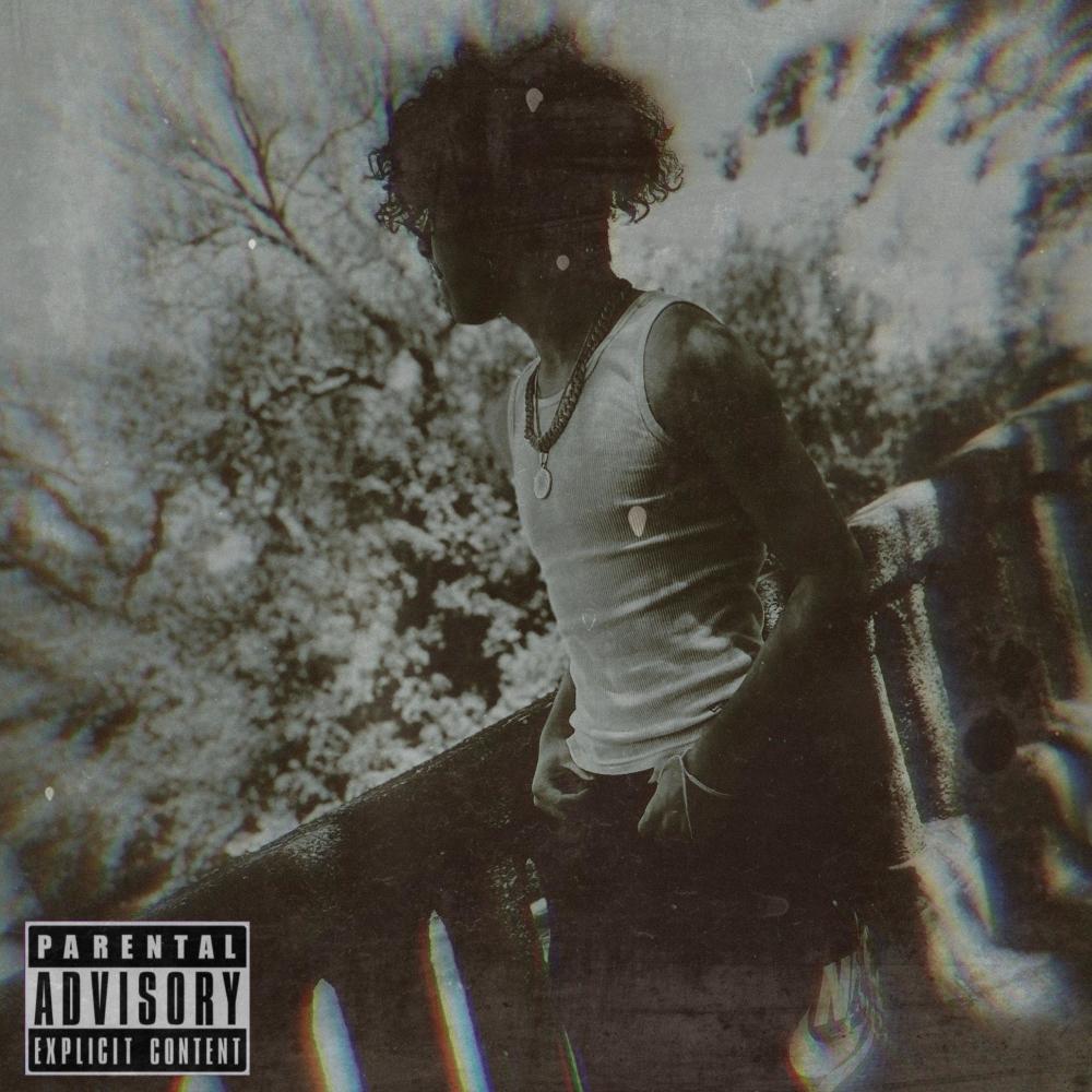 cardiac (feat. Kidd Surro) (Explicit)