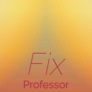 Album Fix Professor from Various