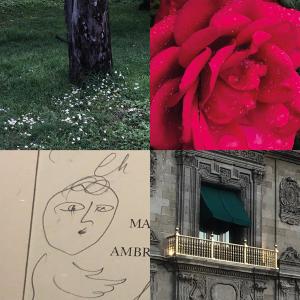 Listen to Walls As Rooms (Explicit) song with lyrics from Hacienda