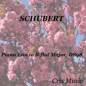 Antonio Janigro的專輯Schubert: Piano Trio in B-flat Major, D.898