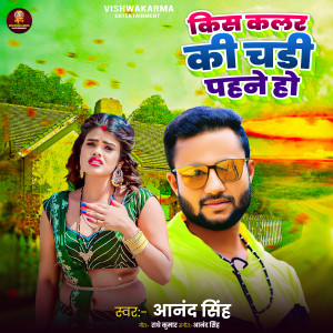 Listen to Kis Colour Ke Chaddi Pahne Ho song with lyrics from Anand Singh