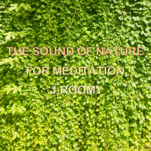 Listen to Nature Sound River, Bugs song with lyrics from J.Roomy