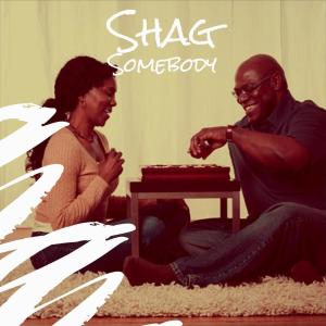 Various Artists的專輯Shag Somebody