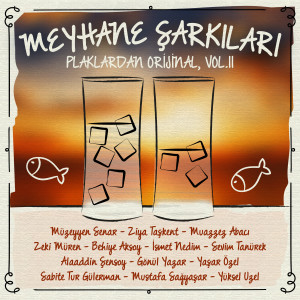 Various的专辑Meyhane Şarkıları, Vol. 2 (Plaklardan Orijinal)