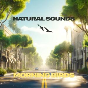 Natural Sounds的專輯Morning Birds EP