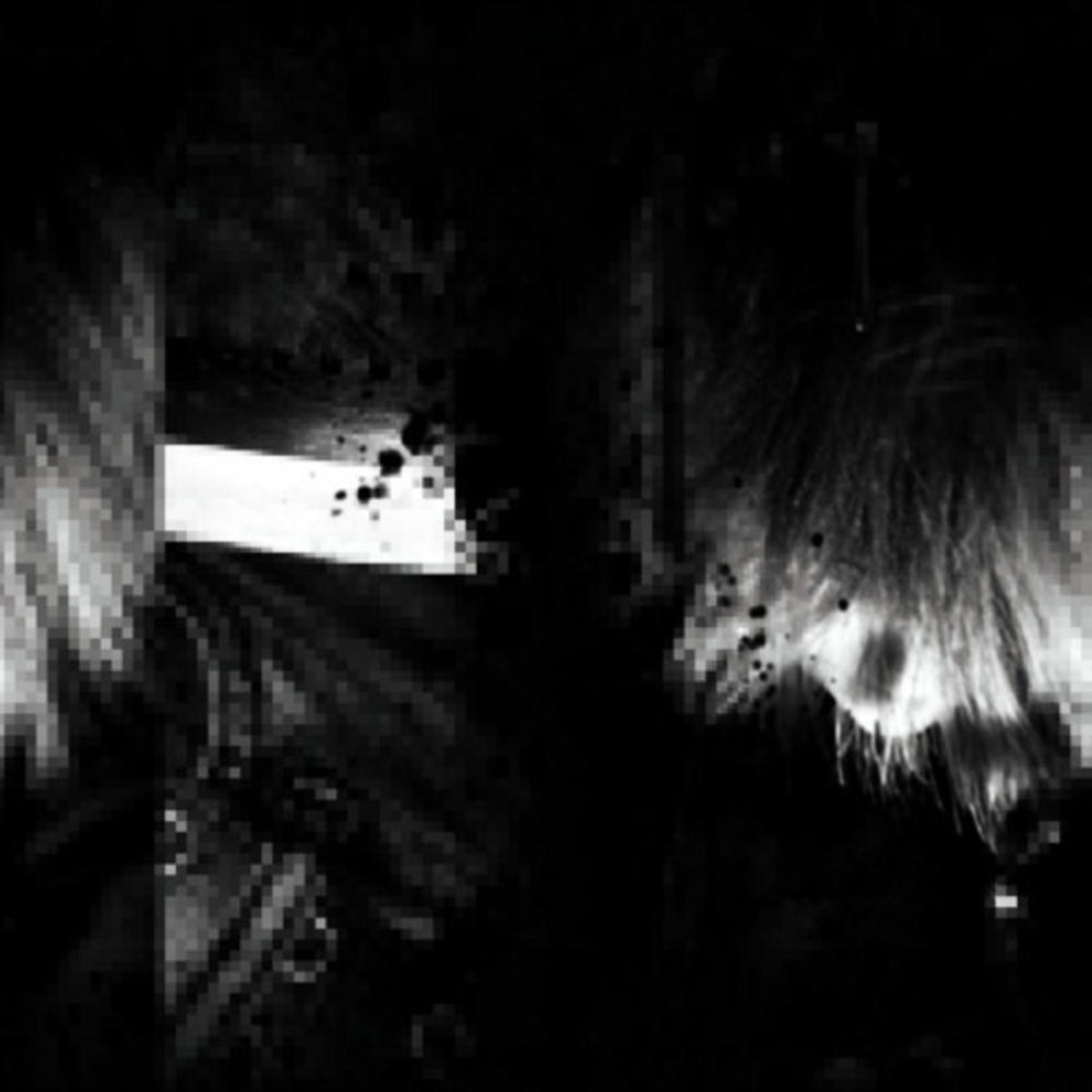 not enough (feat. Everett Latte) (Explicit)