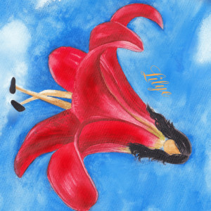 Album Lilye from LIV