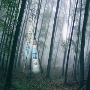 Dengarkan lagu Forest nyanyian 2broke dengan lirik