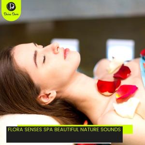 收聽Roy Tate的Easy on Life (Music for Stress Relief)歌詞歌曲