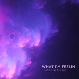 Andrew Liogas的專輯What I'm Feelin