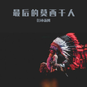 收聽小湯姆的最後的莫西幹人 (DJ版)歌詞歌曲