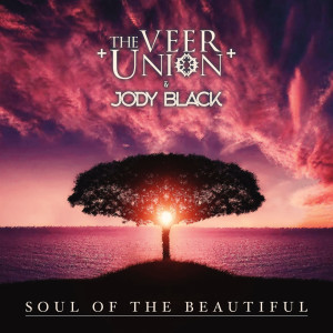 Dengarkan lagu Soul of the Beautiful nyanyian The Veer Union dengan lirik