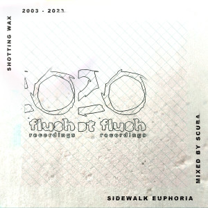 Album Sidewalk Euphoria - Hotflush 20 (Unmixed) oleh Various