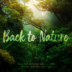 Listen to Back To Nature song with lyrics from World