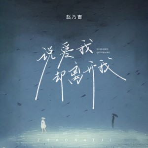 Album 说爱我却离开我 oleh 赵乃吉