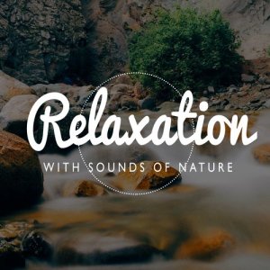 Ambient Nature Sounds的專輯Relaxation with Sounds of Nature