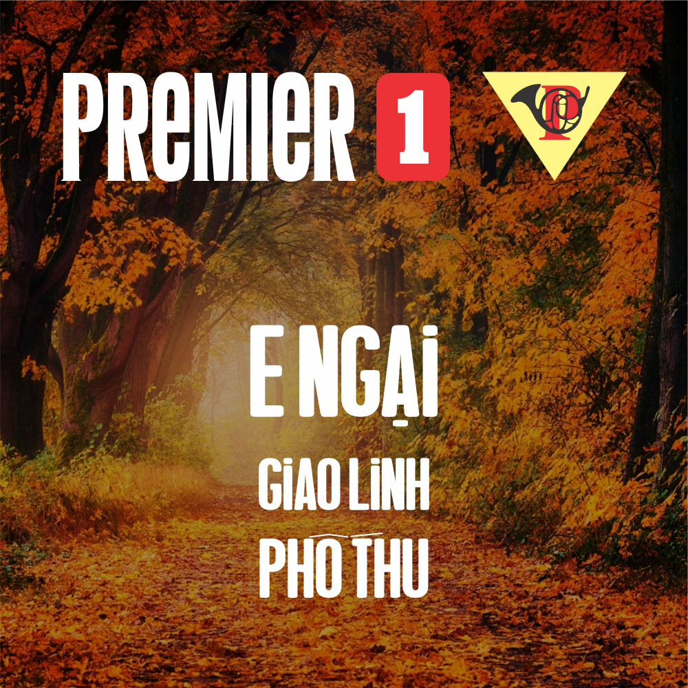 E Ngại