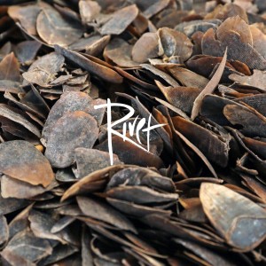 อัลบัม Pangolin ศิลปิน Rivet