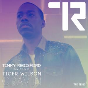 Listen to Cravin (Instrumental) song with lyrics from Tiger Wilson