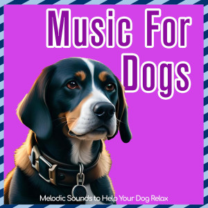 Album Music for Dogs - Melodic Sounds to Help Your Dog Relax from Relax My Dog