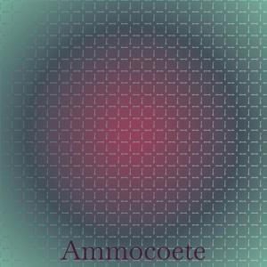 Listen to Reaction Flocked song with lyrics from Frann Luin