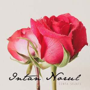 收听Intan Norul的Cinta Sejati (Original Soundtrack)歌词歌曲