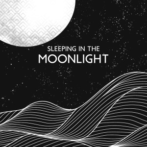 Album Sleeping in the Moonlight (Beautiful Melodies to Help You Fall Asleep Fast and Relax Your Soul) oleh Wellbeing Zone